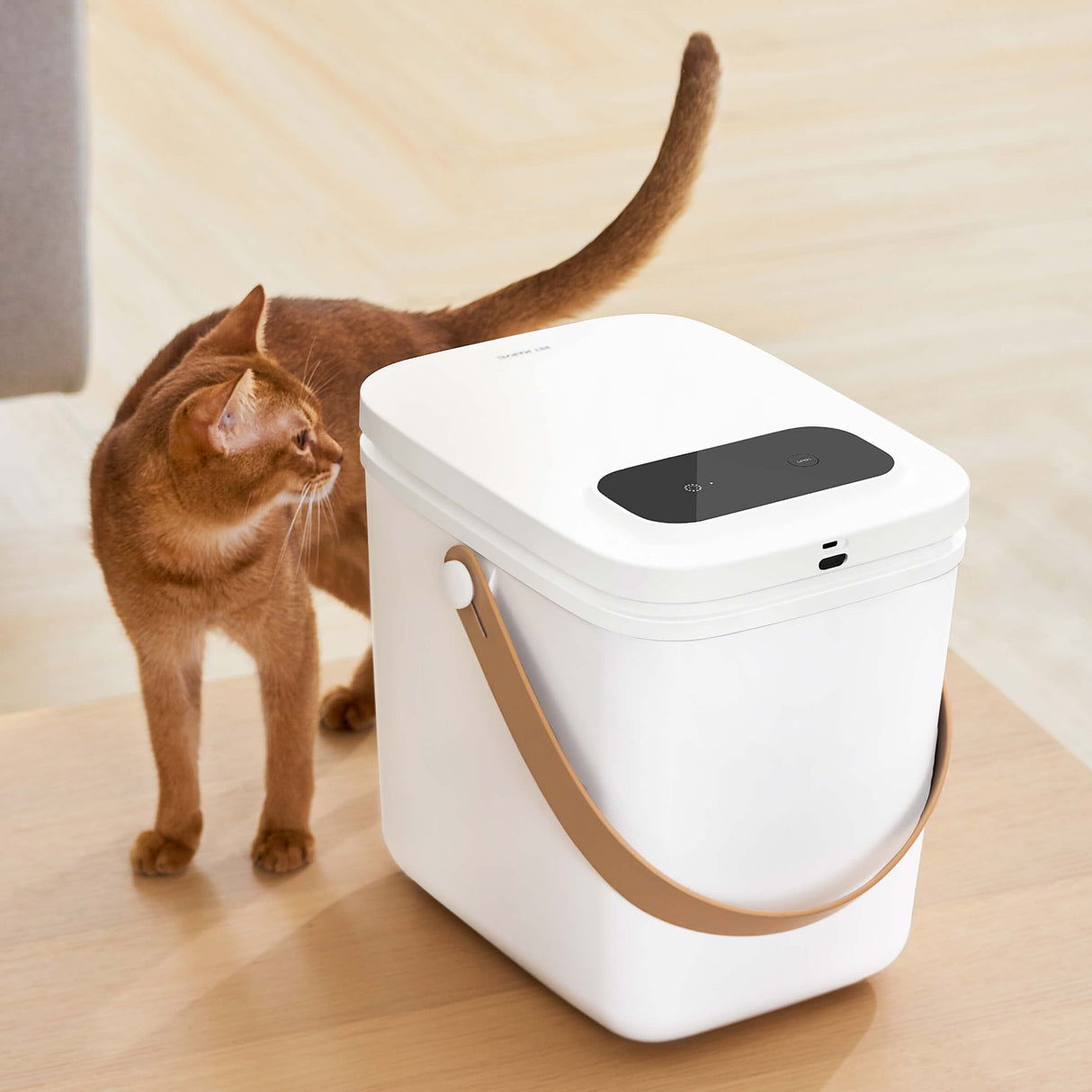 Pet Food Container Storage Airtight Vacuum Sealed