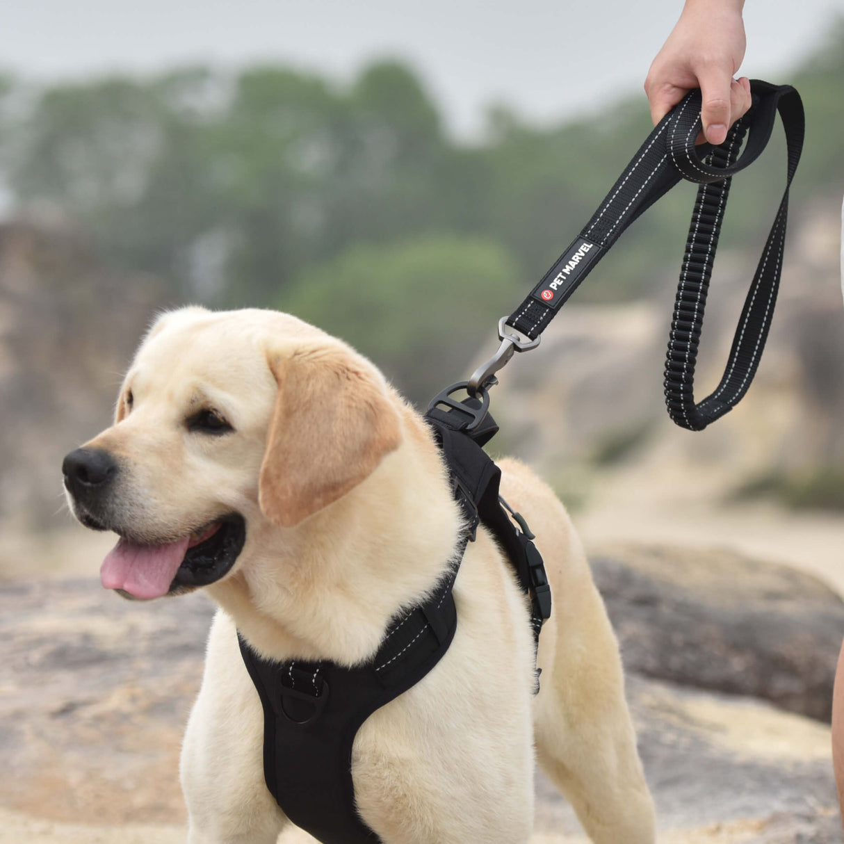 Heavy Duty Dog Leash for Shock Absorption