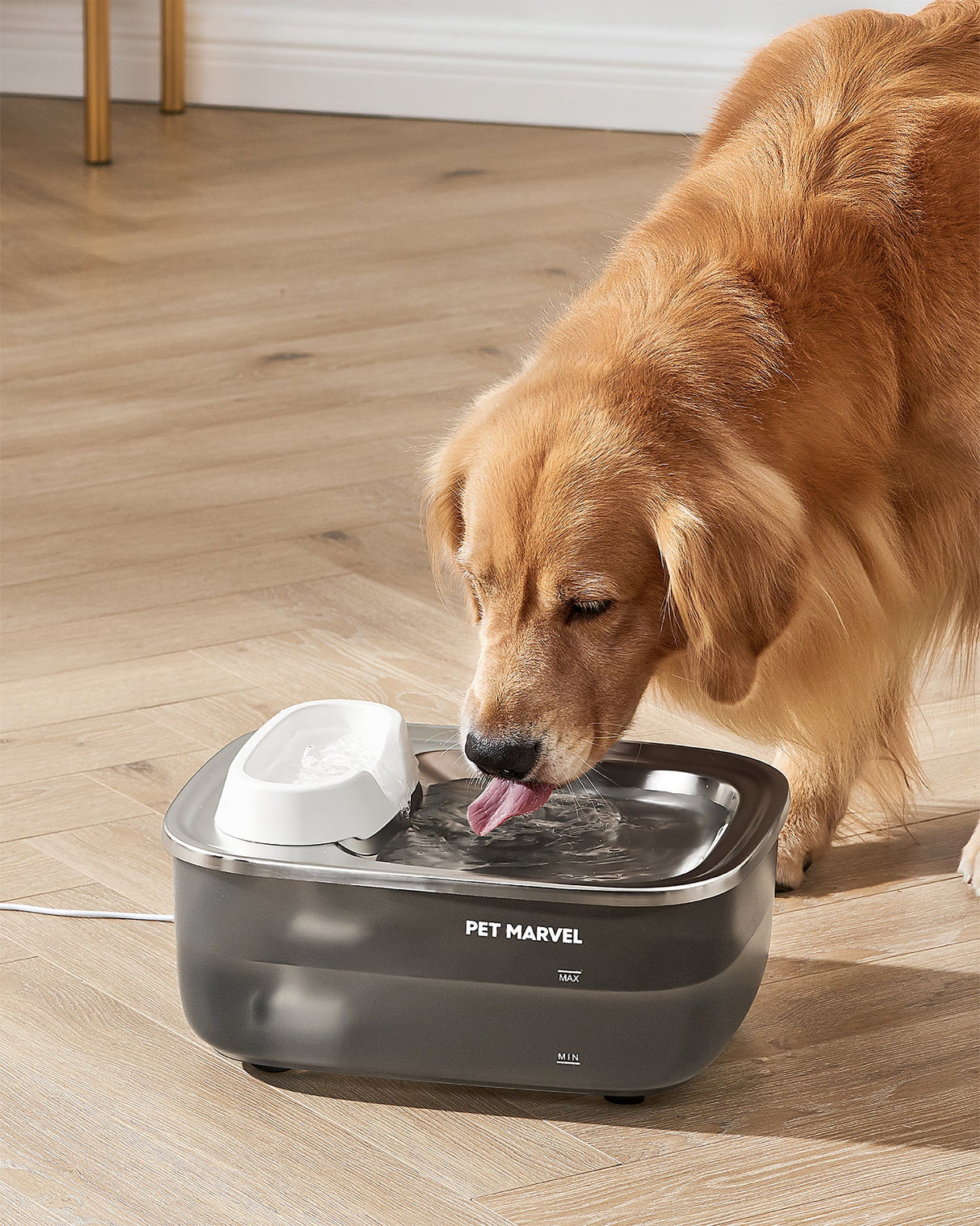 Dog Water Fountain F1 7L for Dogs, Multiple Cats, Birds