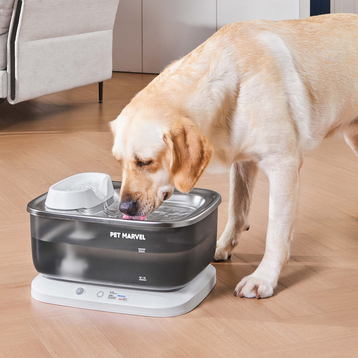 Wireless Automatic Sensing Dog Water Fountain F2