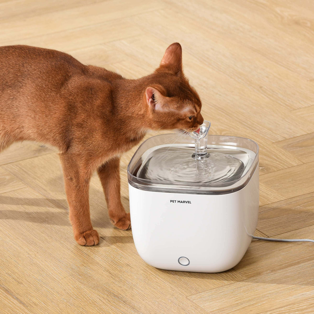 Cat Water Fountain Stainless Steel Drink Tray (Light Youth)