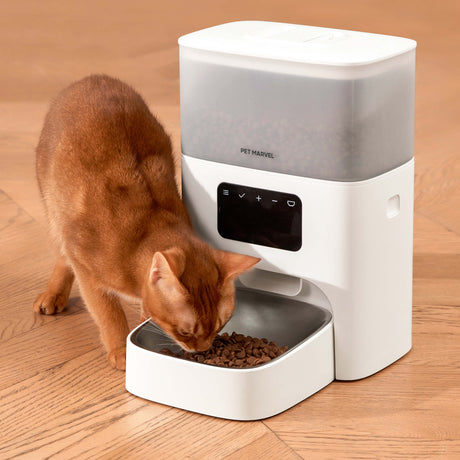 Automatic Cat Feeder 4.4L (Cubie M2)